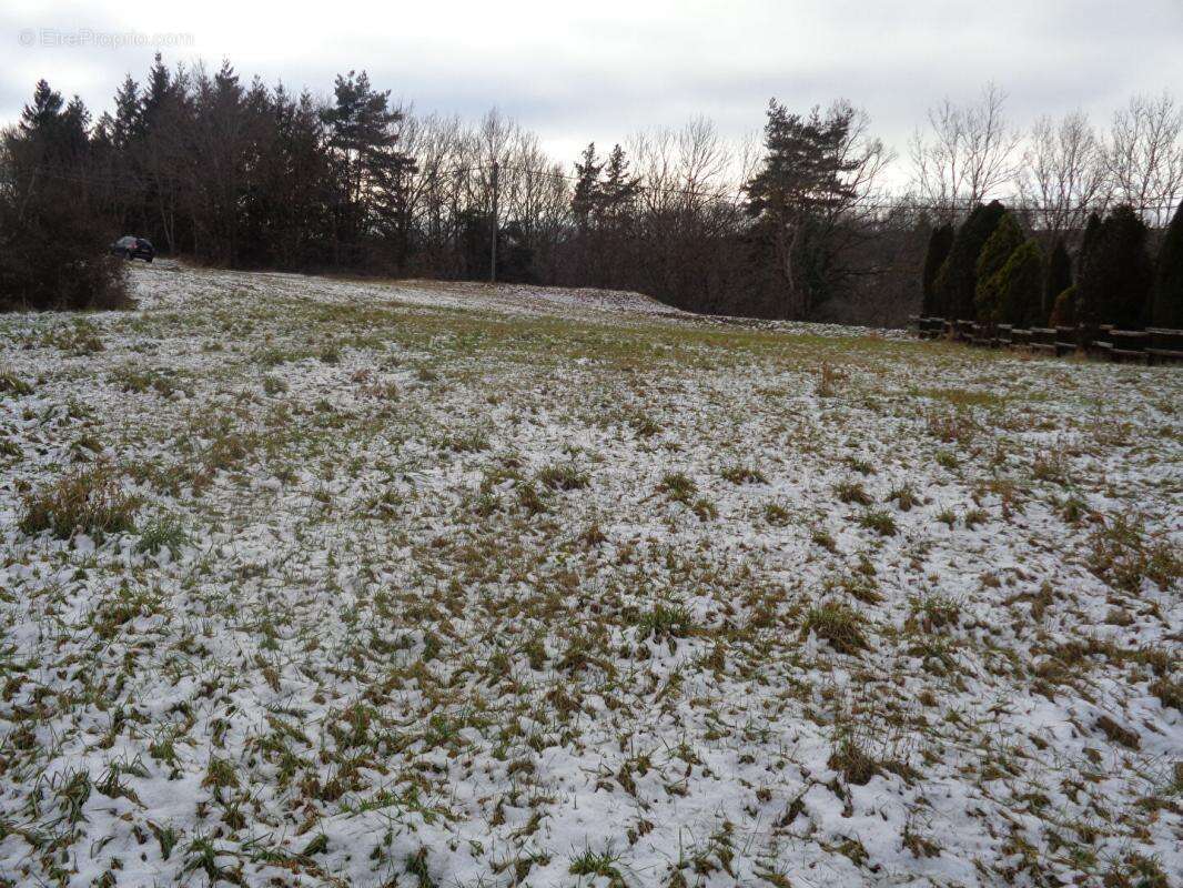 Terrain à SANSSAC-L&#039;EGLISE