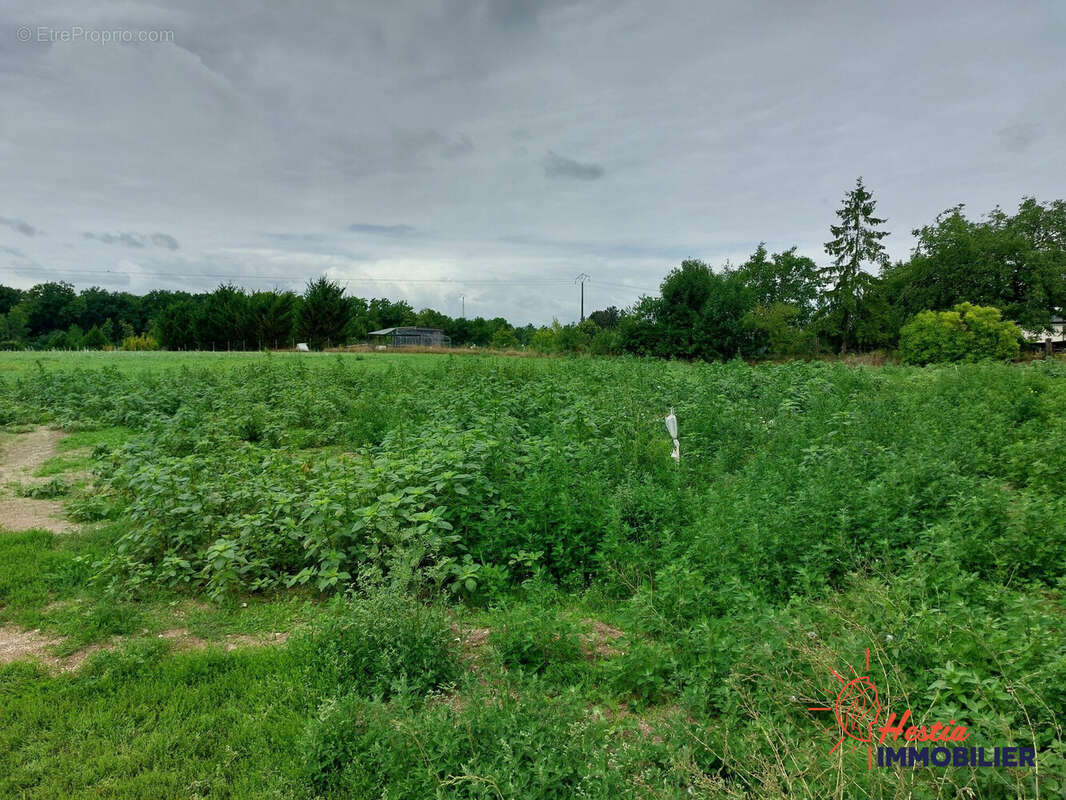 Terrain 600 m² à Saint-Hilaire-Au-Temple  - photo 4