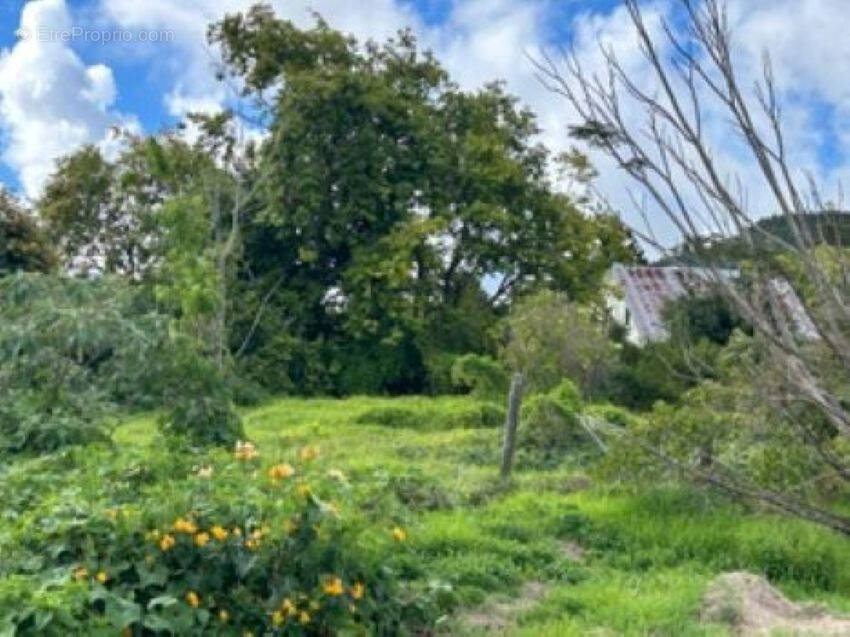 Terrain à SAINT-PIERRE