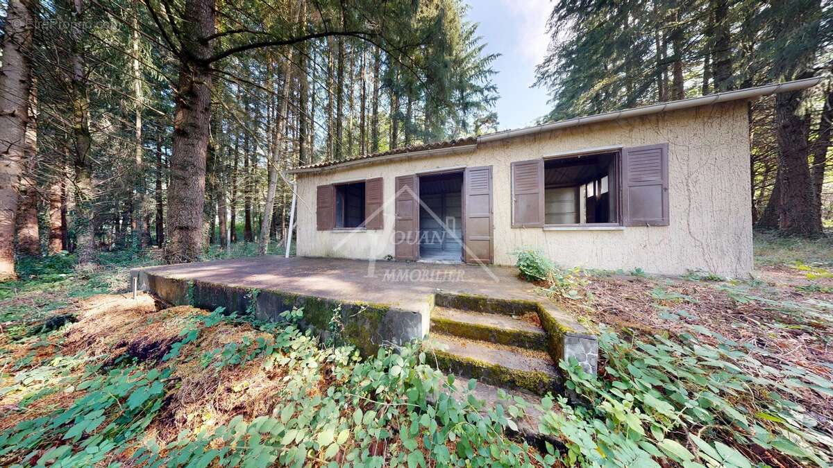 Exclusivite bungalow sur 6000m2 de terrain - photo 6