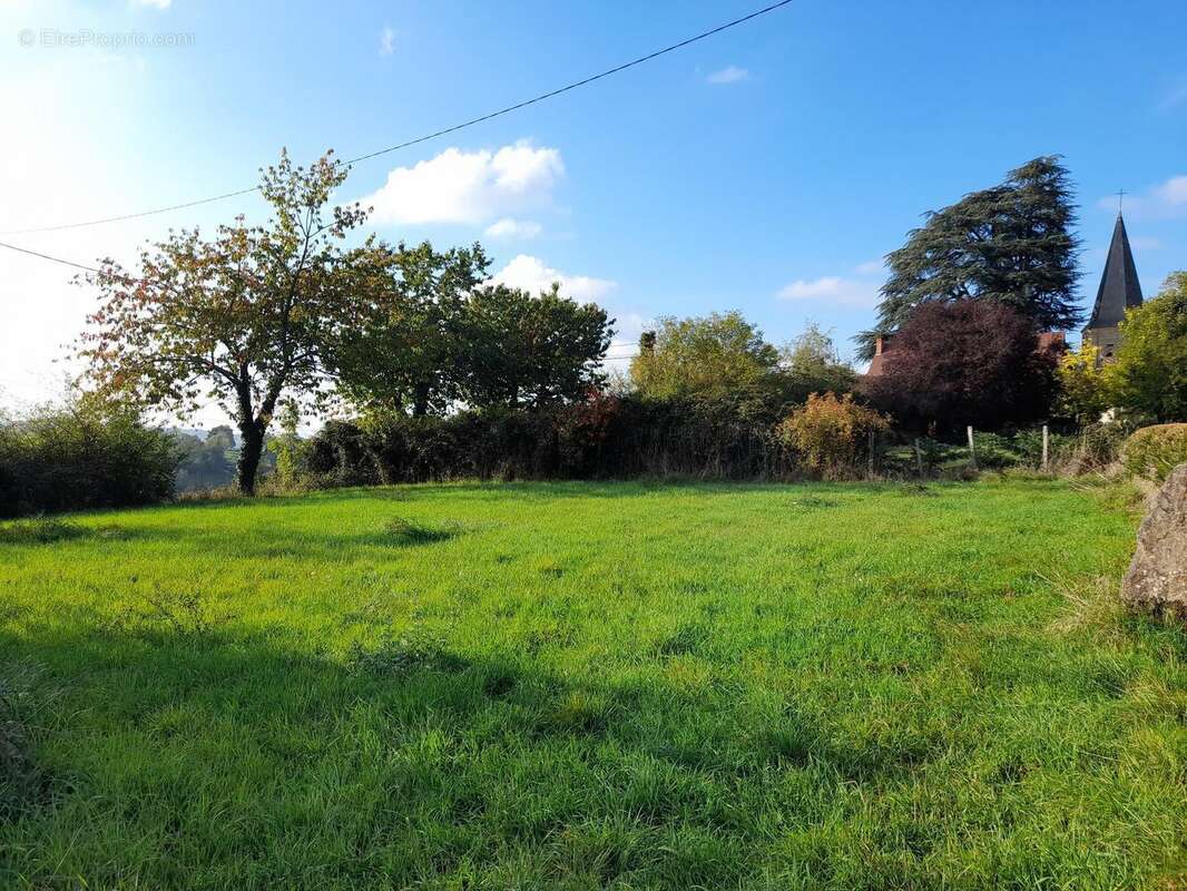 Photo 4 - Terrain à SAINT-CHRISTOPHE-EN-BRIONNAIS