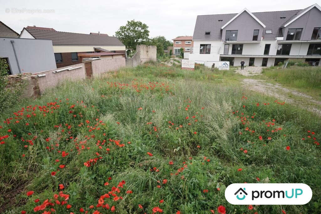 Terrain à HIRTZFELDEN