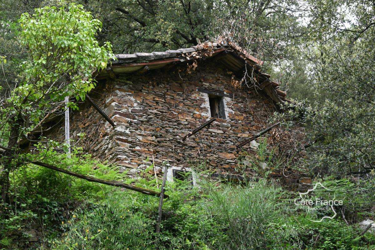 Maison à CHAMBORIGAUD