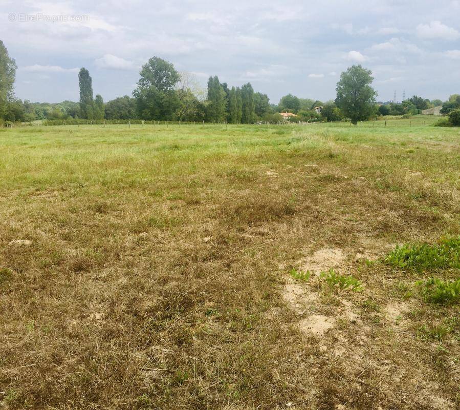 Terrain à SAINT-ANDRE-DE-CUBZAC