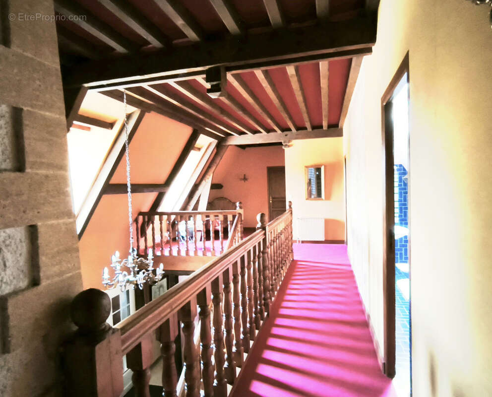 Propriété en bord de Vienne - photo 12