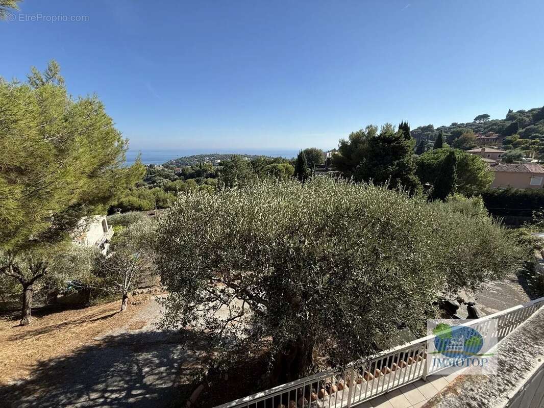 Maison à ROQUEBRUNE-CAP-MARTIN