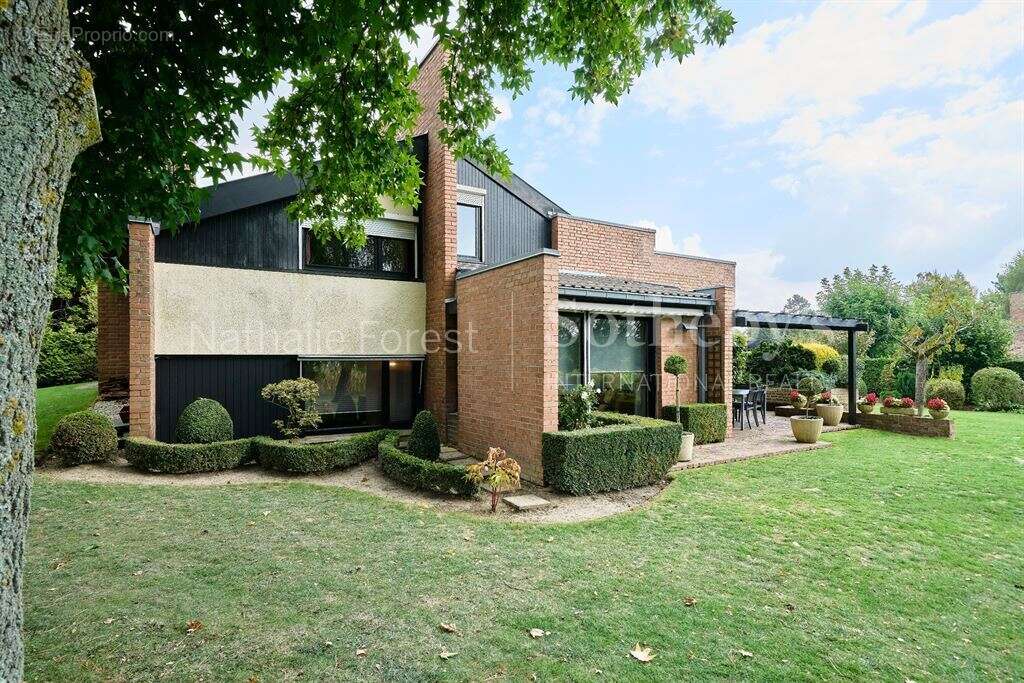 Maison à MOUVAUX