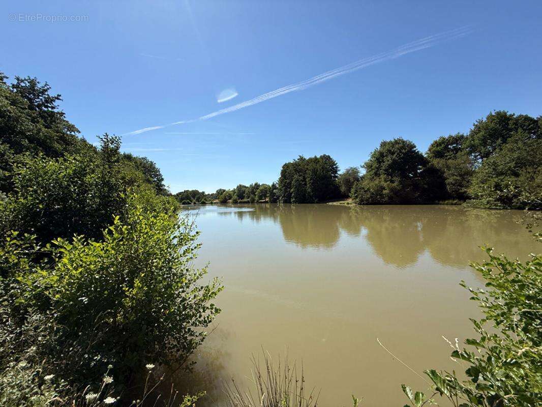 Propriété Maison + Etang + gîte Proche Moulins 03 - photo 4