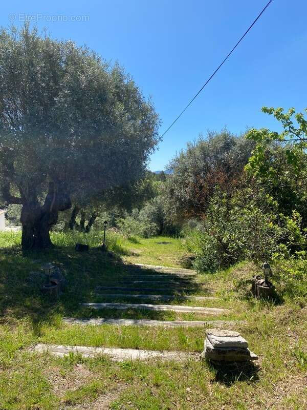 Maison à MONTAUROUX