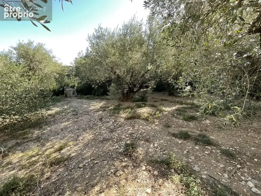 Milhaud, villa 6 pièces. - photo 10