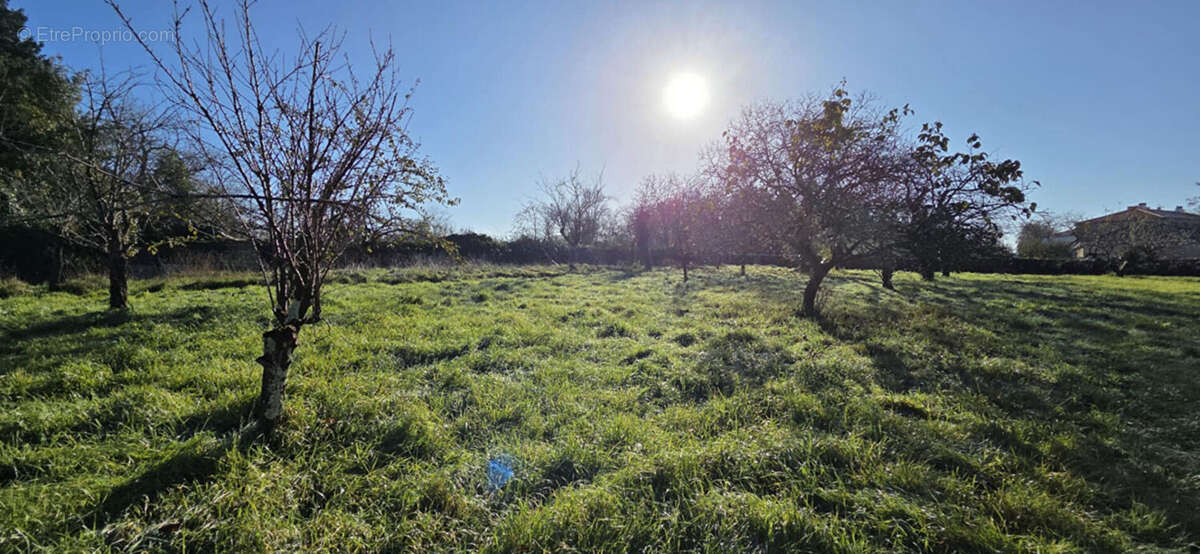 Maison à SAINT-MAIXENT-L'ECOLE