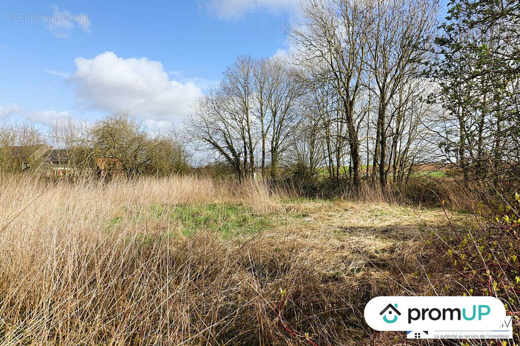 Terrain à BEAUVAL
