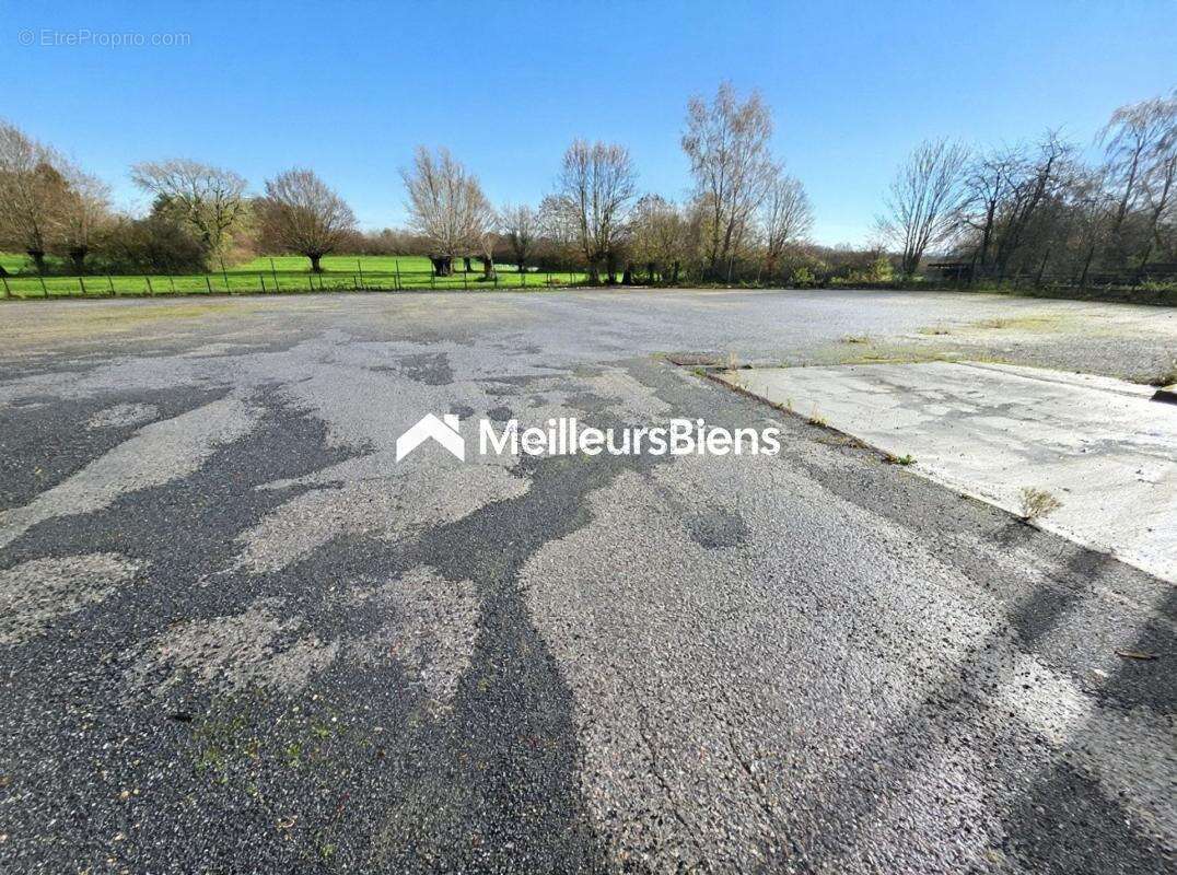 Terrain à LA LONGUEVILLE