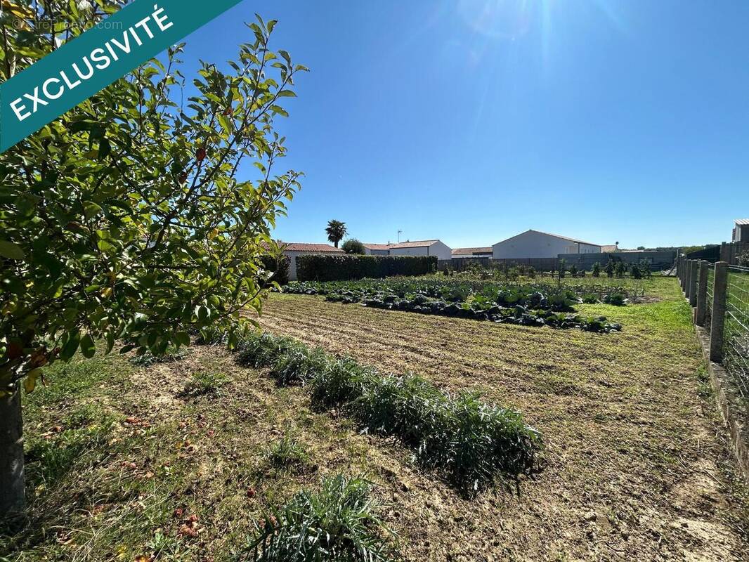 Photo 1 - Terrain à LONGEVILLE-SUR-MER