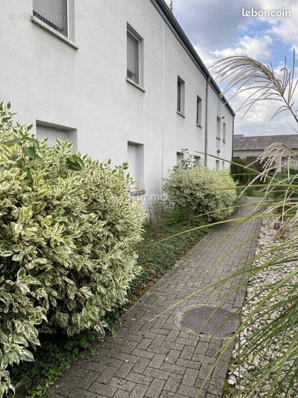 Appartement à SIERENTZ