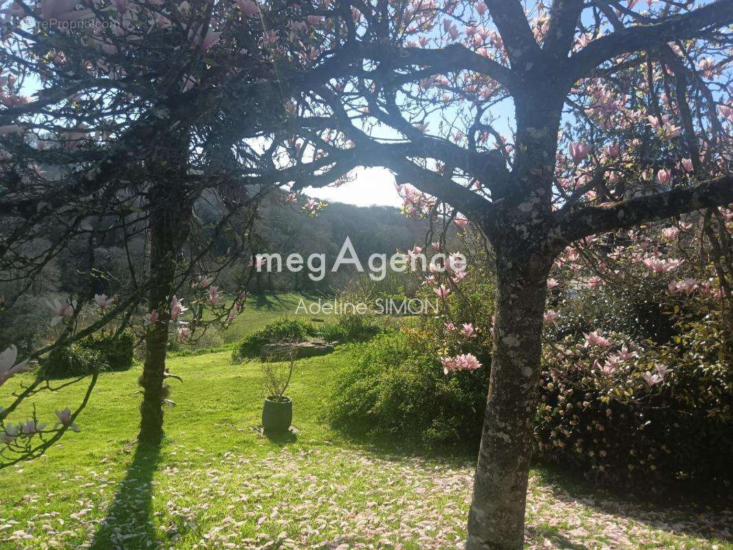 Domaine équestre avec gites et 24 ha - photo 11