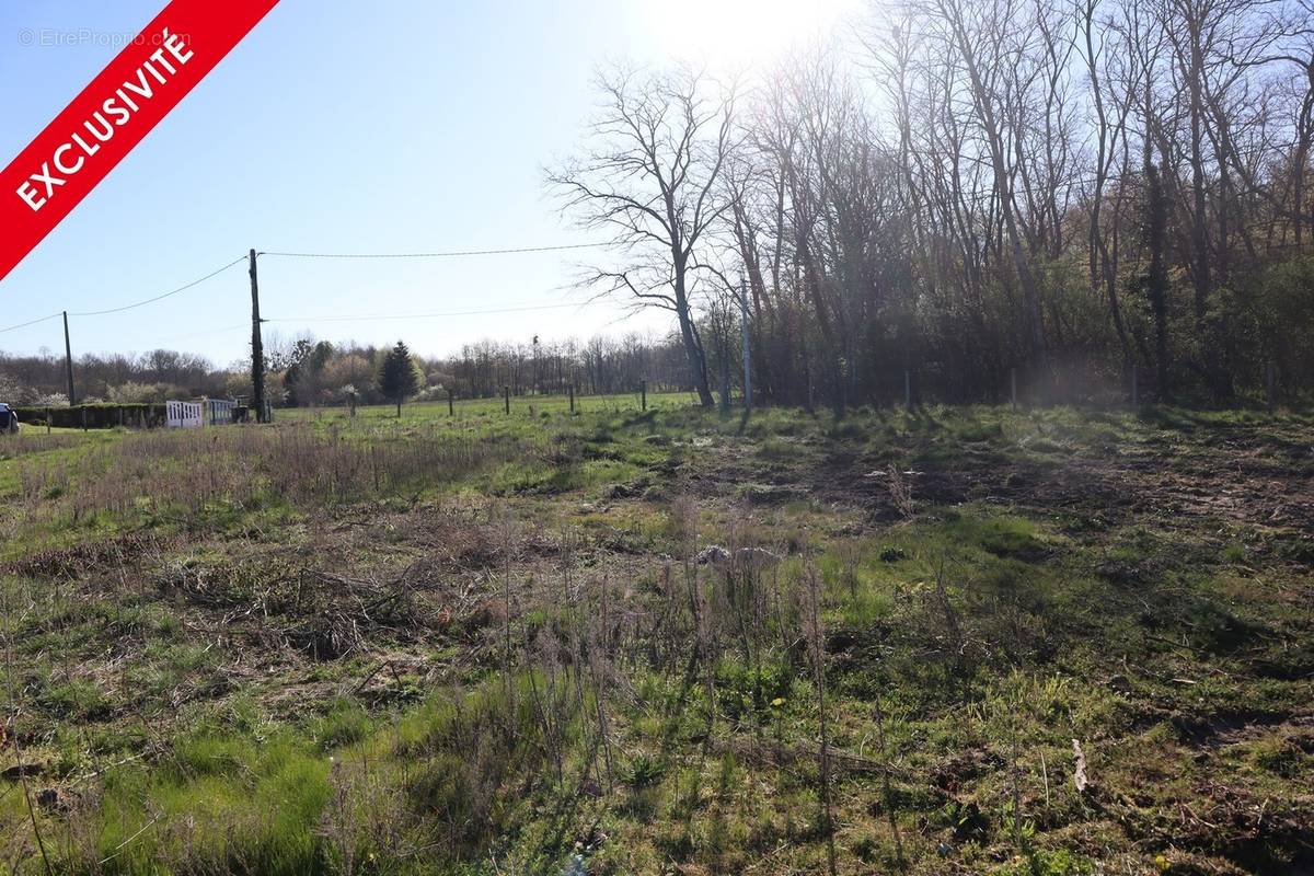 Terrain à SAINT-MAURICE-SUR-FESSARD