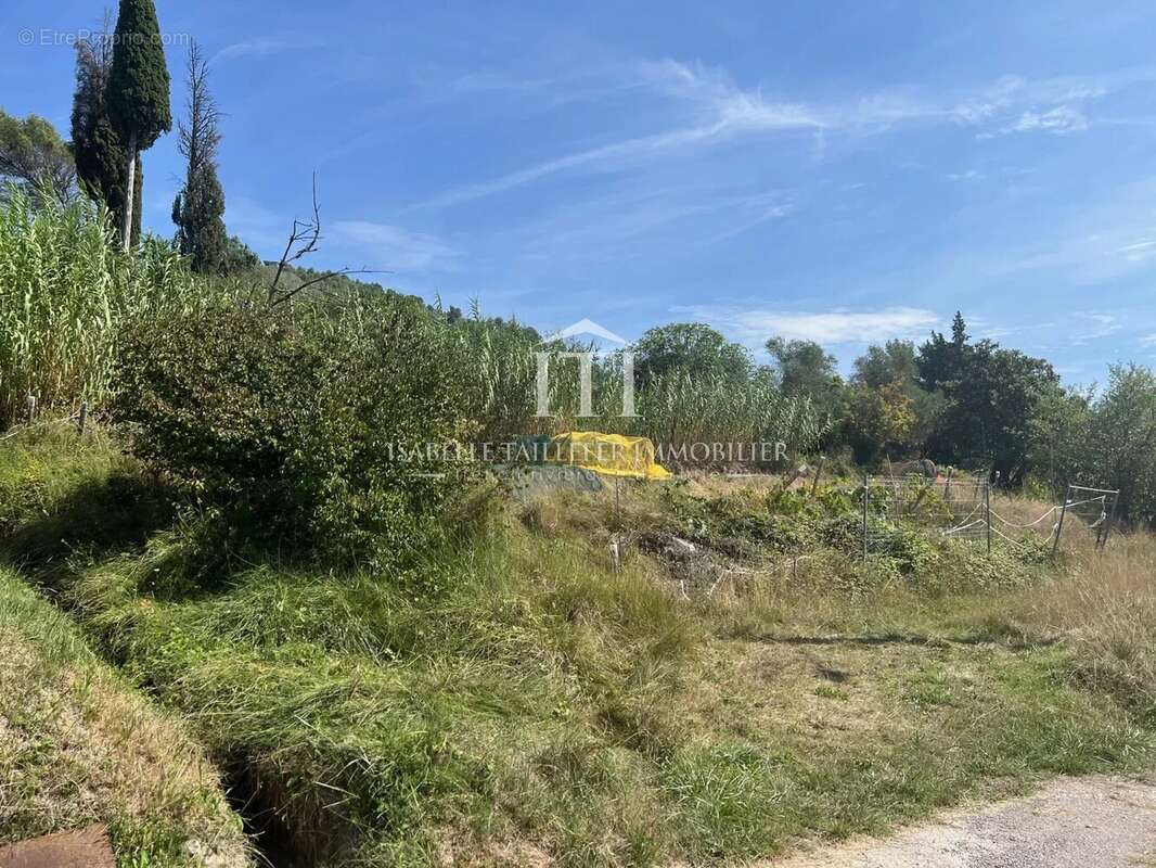 Terrain à L'ESCARENE