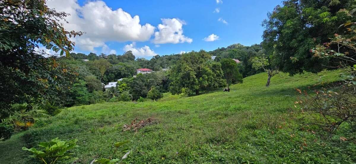 Beau terrain 1373 m² - le robert - photo 2
