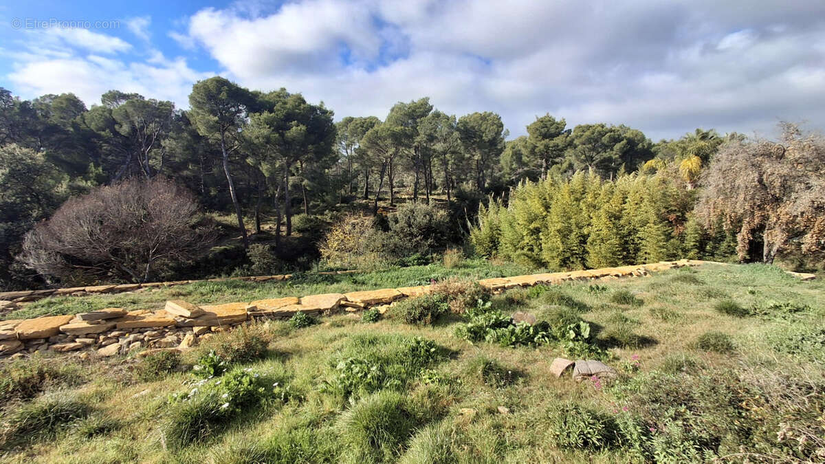 Maison à LA CADIERE-D&#039;AZUR