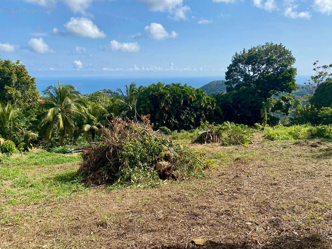 Terrain à SAINTE-LUCE