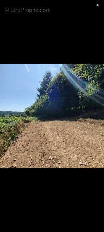 Terrain à MONTSAUCHE-LES-SETTONS