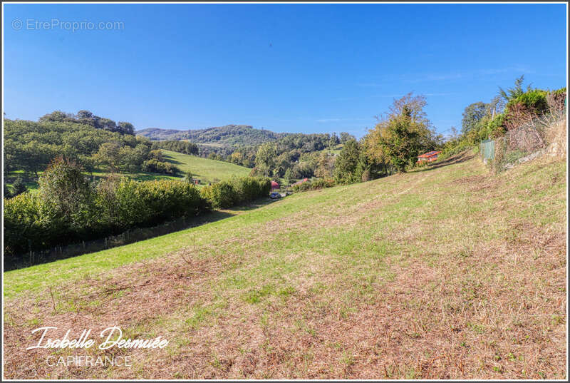 A SAINT PAUL D'IZEAUX (38) - À vendre, terrain exceptionnel de 2 595 m², hors lotissement - photo 2