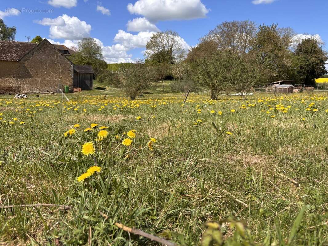 Maison à NEUVILLALAIS