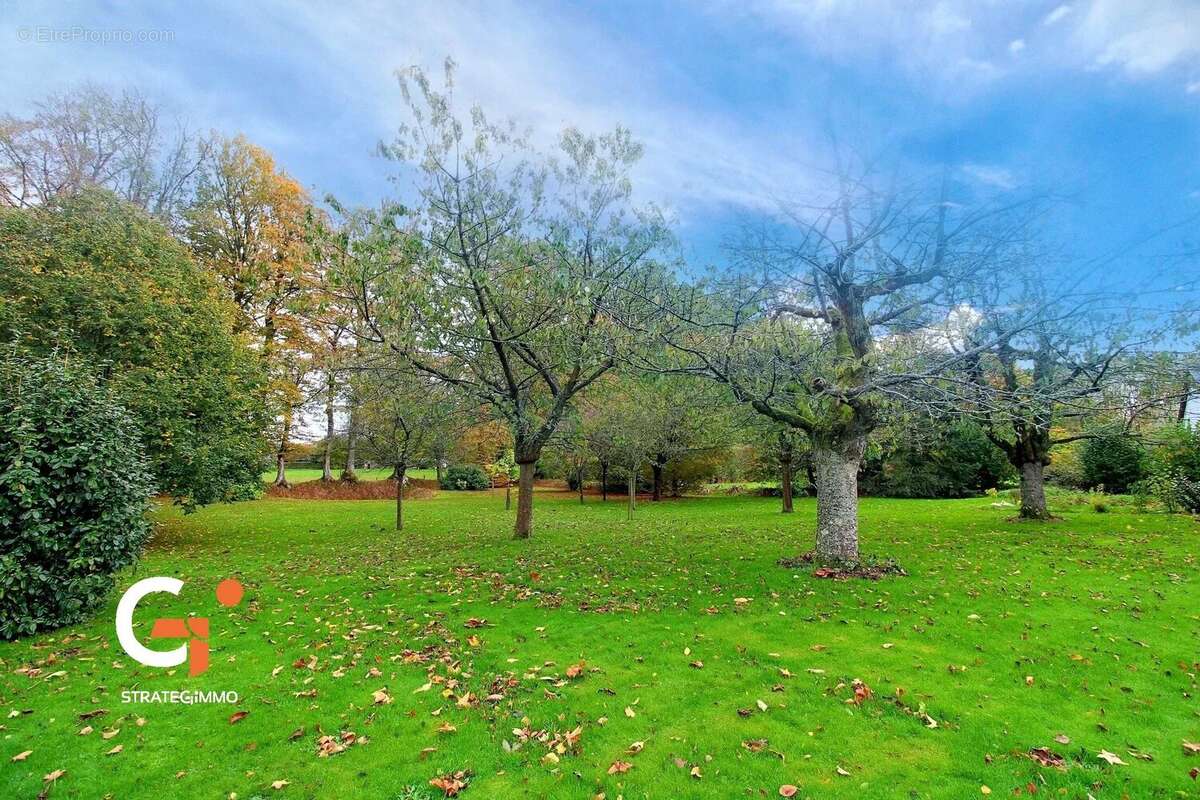 Maison à DOUDEVILLE