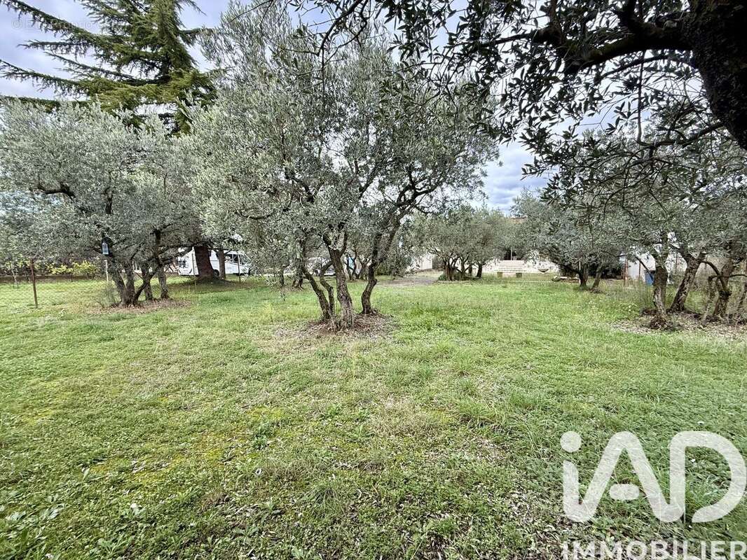Photo 5 - Maison à CAVAILLON