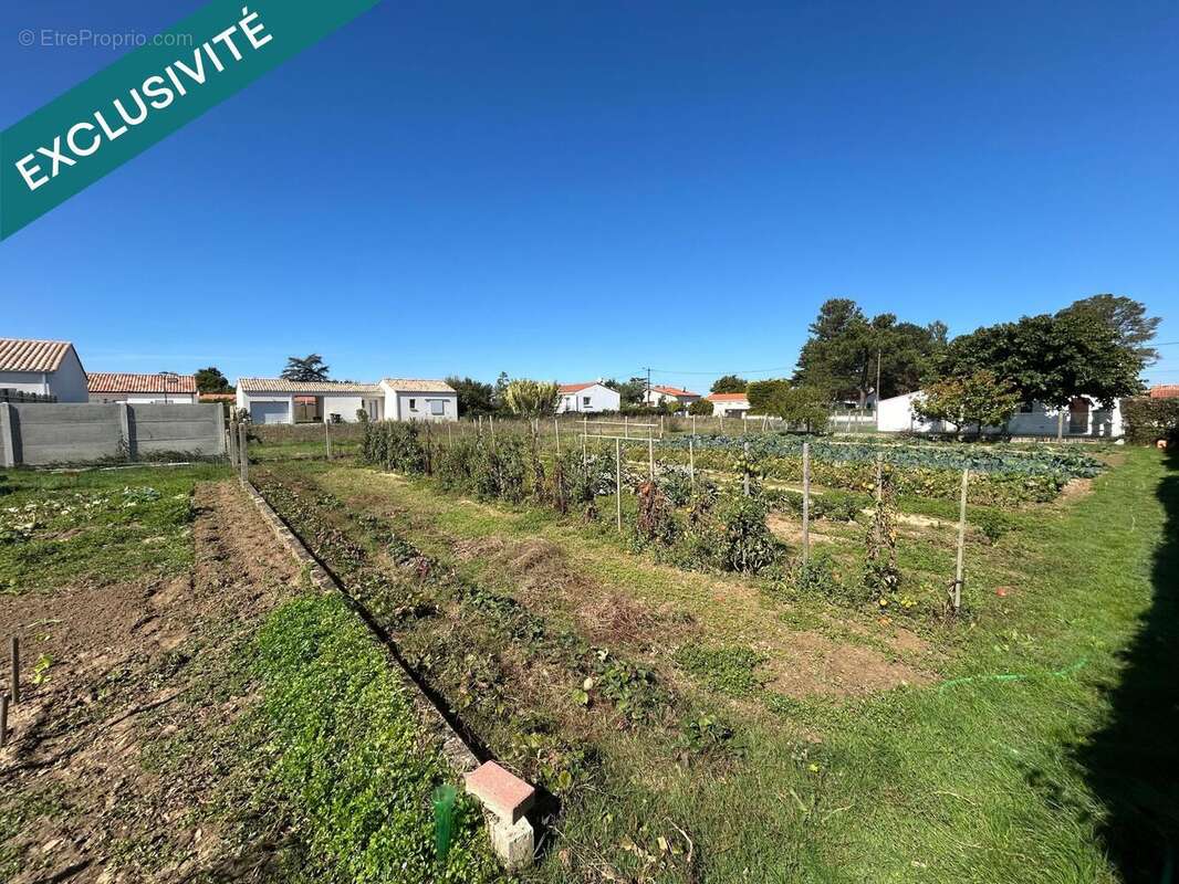 Photo 4 - Terrain à LONGEVILLE-SUR-MER