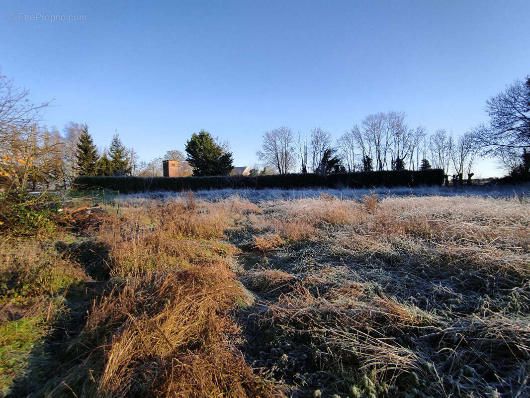 Terrain à SAVIGNIES