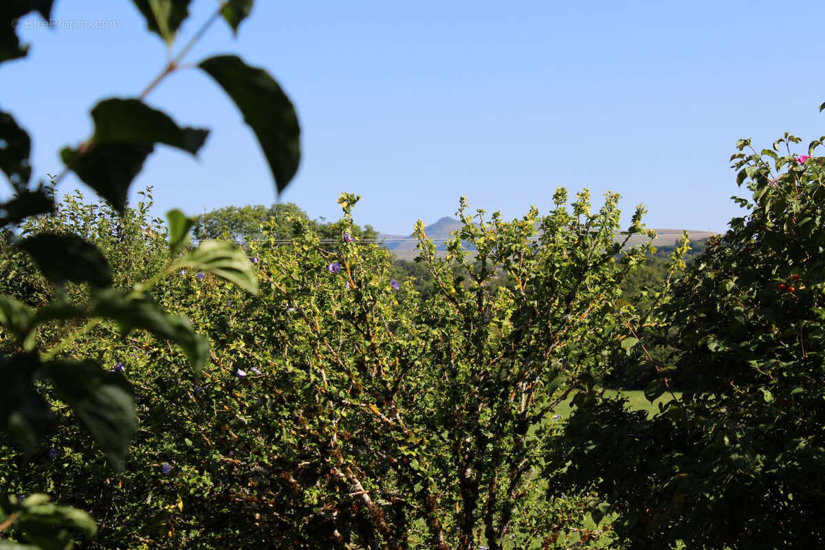 Maison à ANGLARDS-DE-SALERS