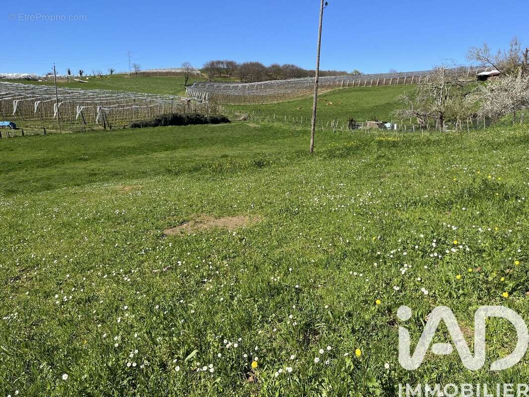 Photo 4 - Terrain à ALLASSAC