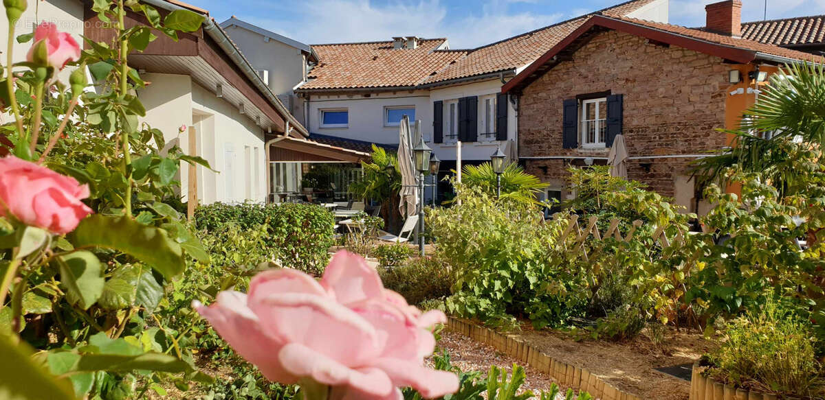 Commerce à BELLEVILLE