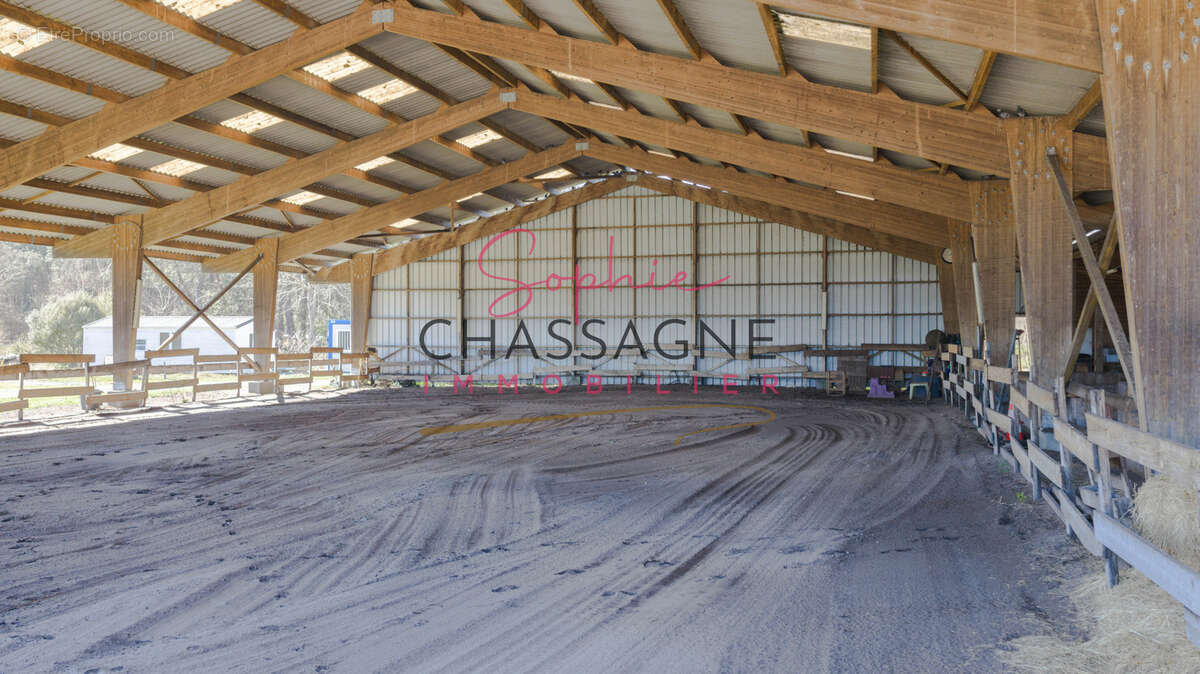 À 20 minutes de Lacanau, sur plus de 10 hectares, écurie de propriétaires avec maison de 80 m2 et installation - photo 5