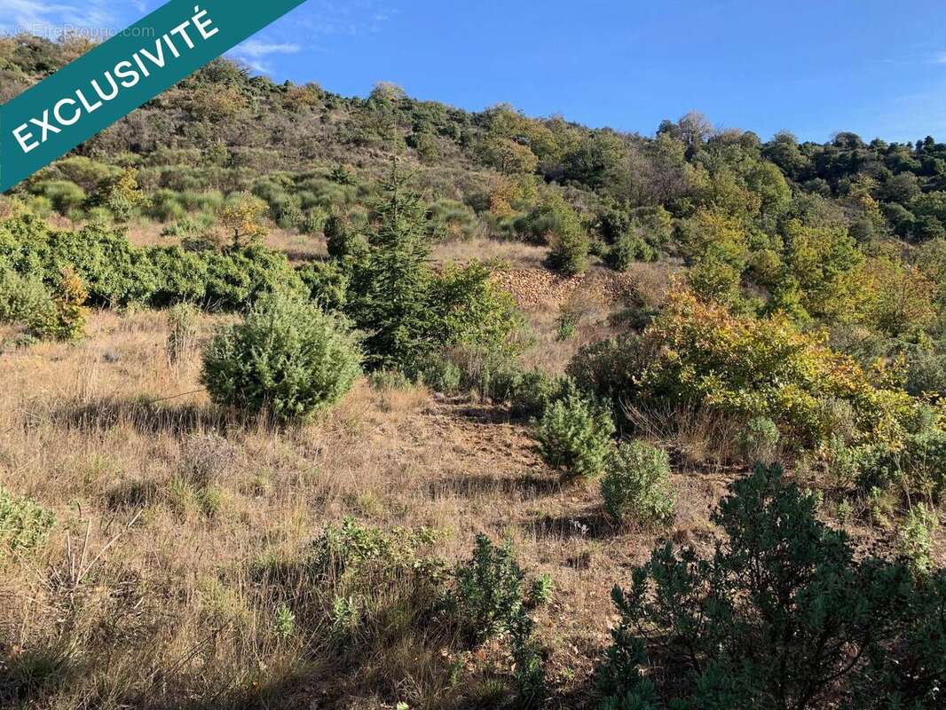 Photo 2 - Terrain à FELLUNS