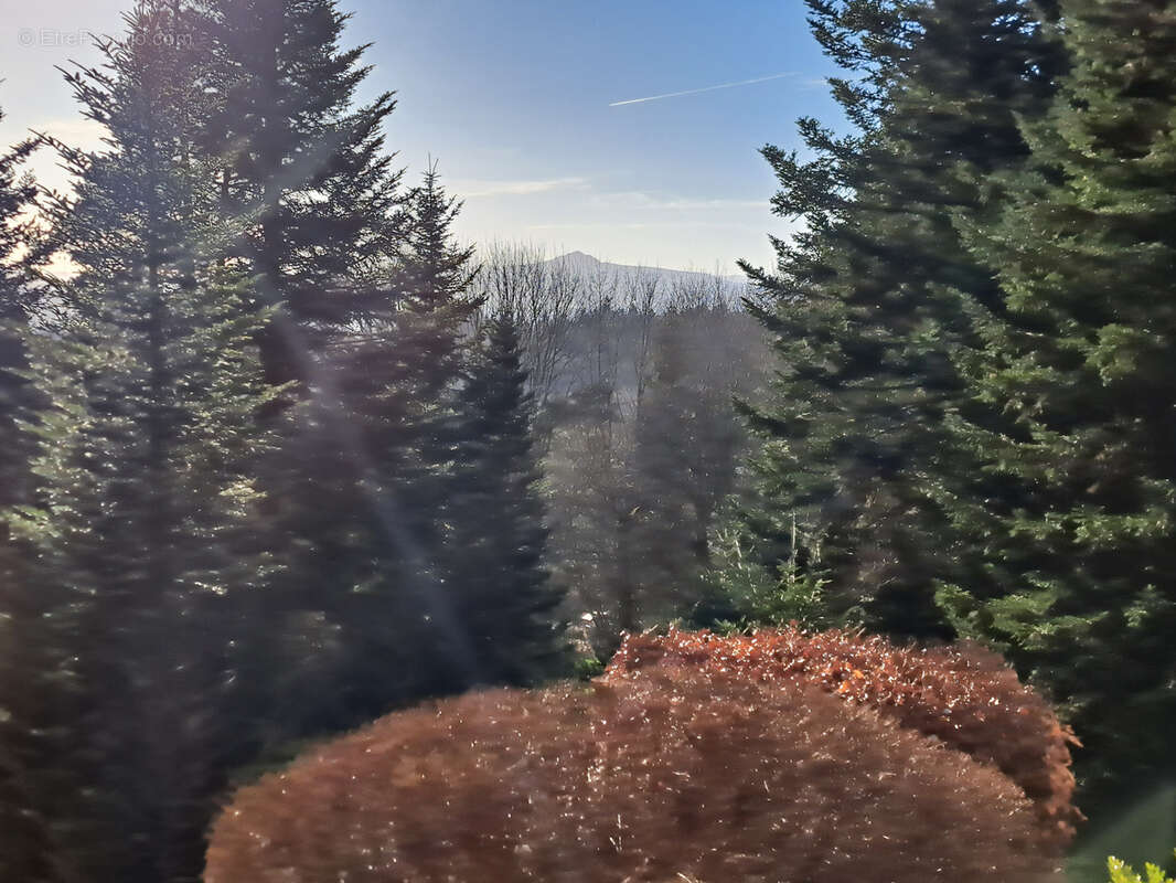 Maison à LE CHAMBON-SUR-LIGNON