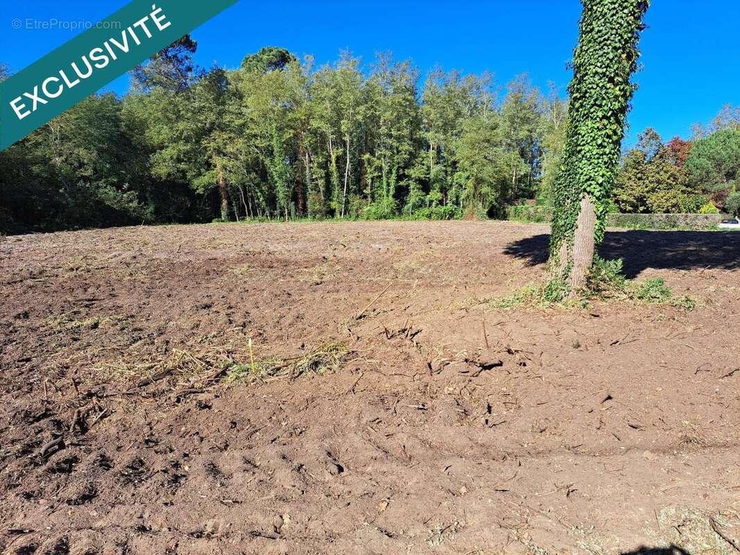 Photo 4 - Terrain à ROQUEFORT