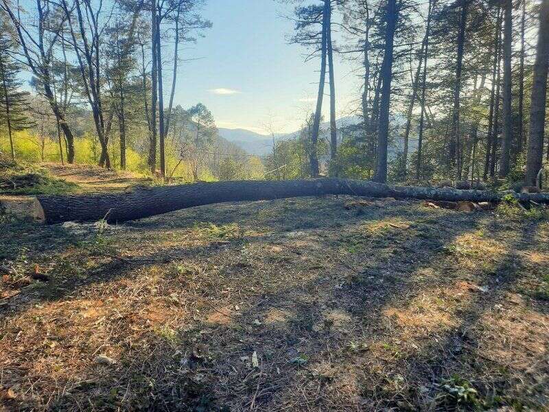 Terrain à SAINT-AMBROIX