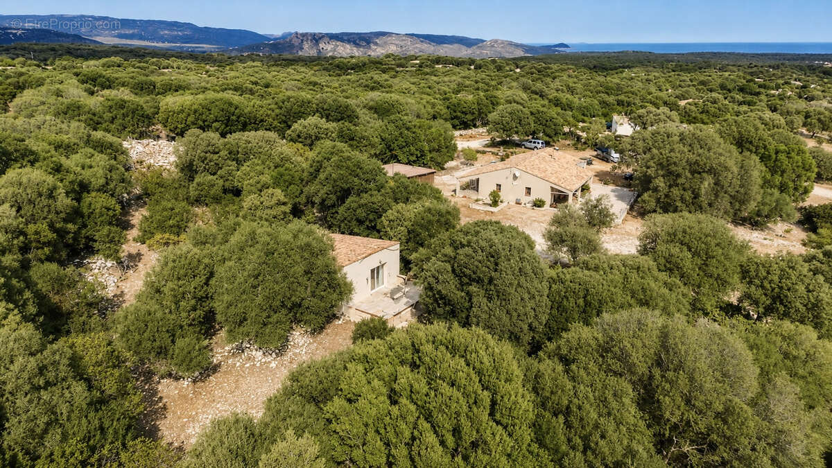 Propriété avec dépendance sur grand terrain constructible à 5 min de la plage de Bonifacio - photo 2