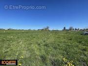 Terrain à SAINT-JODARD