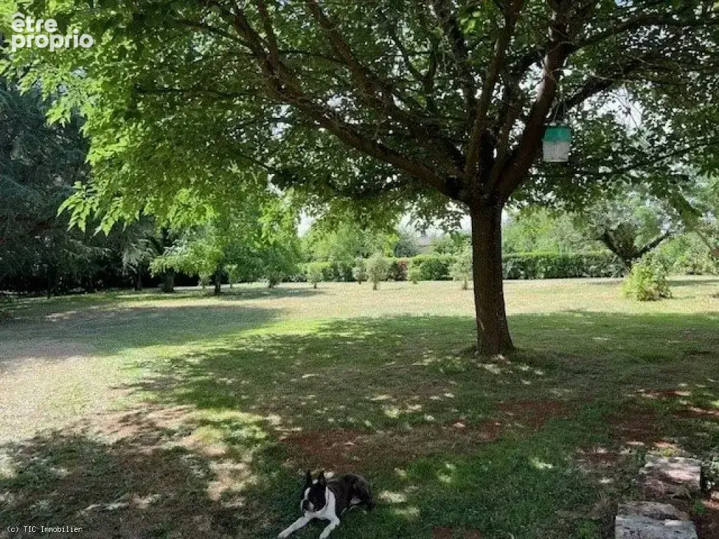 Superbe Presbytère de Caractère avec Magnifiques Jardins, entre Valence-en-Poitou et Vivonne - photo 35