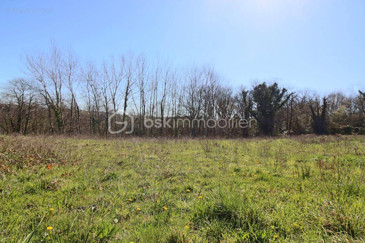 Terrain à SAUVAGNON