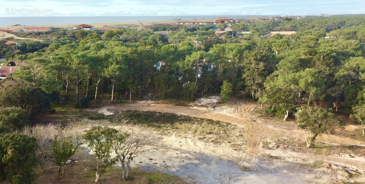 Terrain à SEIGNOSSE