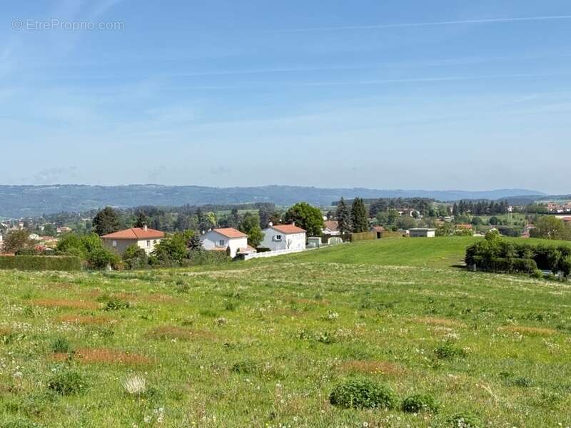 Terrain à MONISTROL-SUR-LOIRE