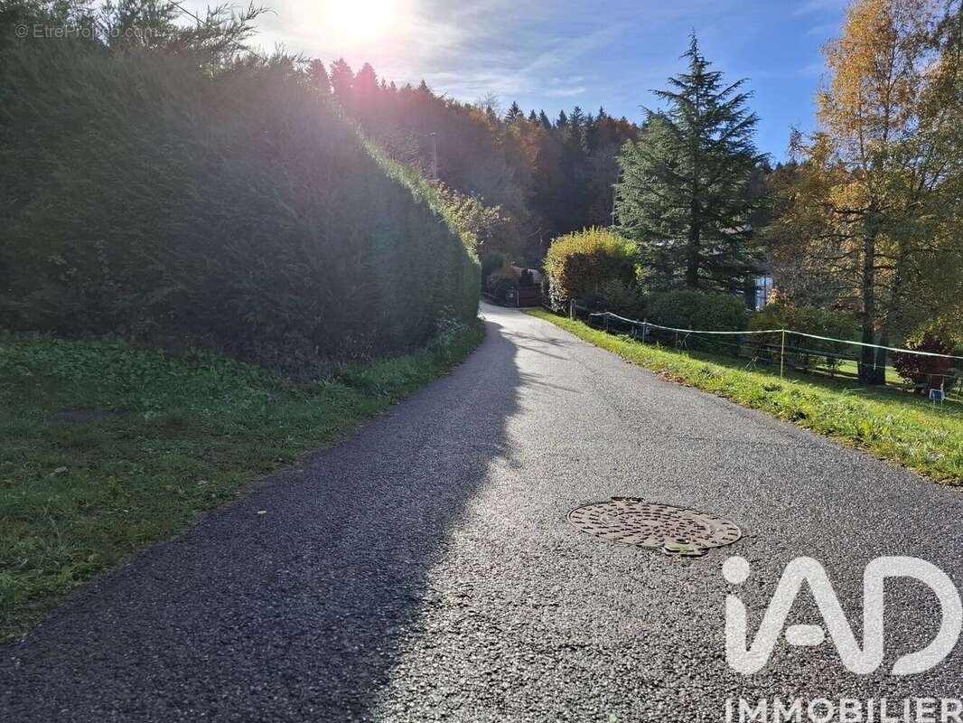 Photo 8 - Terrain à SAINT-PAUL-EN-CHABLAIS