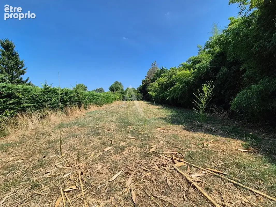 Villeneuve De Marsan - photo 15