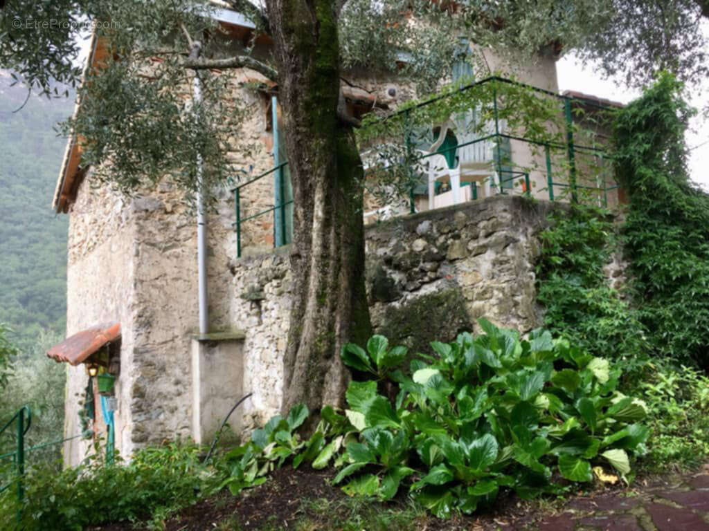 Maison à BREIL-SUR-ROYA