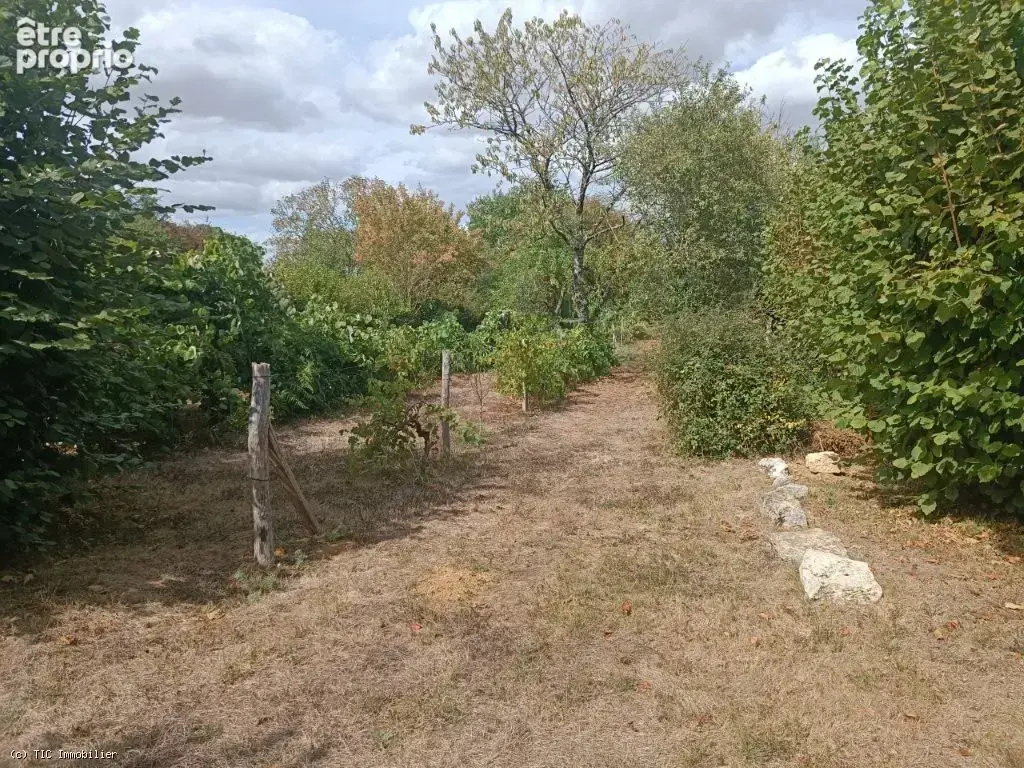Très Belle Maison Ancienne de 3 Chambres avec Piscine et Terrain de Plus d'Un Hectare - photo 33